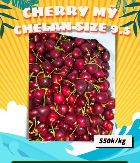 Cherry Mỹ Chelan Size 9.5  (Hết hàng)